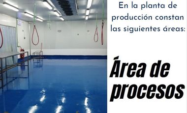 Manta - Empacadora de Atun y Pelagico Pequeño con Permiso de Exportación en Venta
