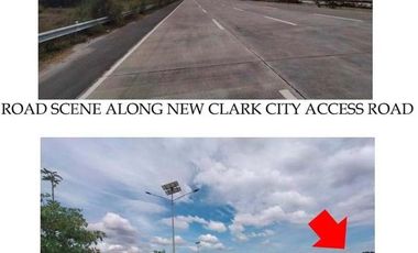Commercial Lot for Sale in New Clark City at Tarlac City