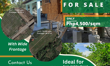 For Sale: 25,990 sqm Residential Fruit Farm Lots with Wide Frontage in Magalang, Pampanga!