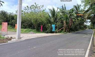 5 YRS TO PAY INSTALLMENT RETIREMENT FARM LOT IN ALFONSO CAVITE