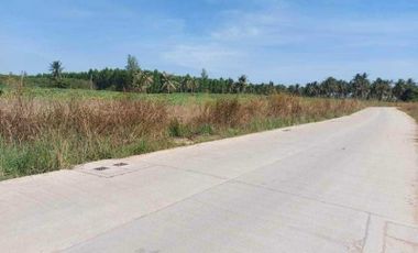 Empty land for sale, beautiful plot, Bueng, Sriracha, Chonburi.