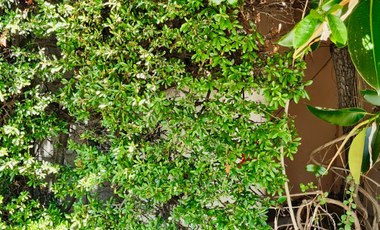 Amplia Casa Villa Macul a pocas cuadras Metro y Mall Quilin 6 Habitaciones