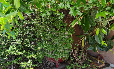 Amplia Casa Villa Macul a pocas cuadras Metro y Mall Quilin 6 Habitaciones