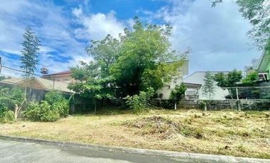 Residential Vacant Lot for Sale at BF Homes, Paranaque City