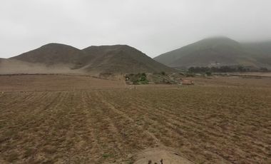 TERRENO EN VENTA CHANCAY