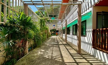 Large house 12 beds for sale in Doi Saket, Chiang Mai