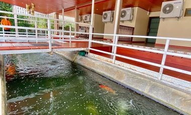 Large house 12 beds for sale in Doi Saket, Chiang Mai