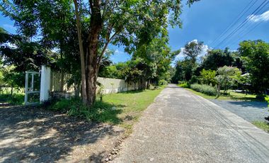 Large house 12 beds for sale in Doi Saket, Chiang Mai