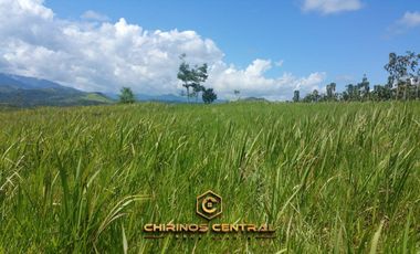 Se Vende Terreno en Tarapoto/para Casa Campo/ 1200 m²