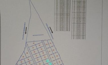 Se Vende Terreno en Tarapoto/para Casa Campo/ 1200 m²