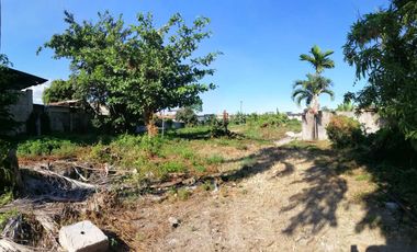Lot for Sale at Tungkop, Minglanilla, Cebu Ideal for Industrial Use