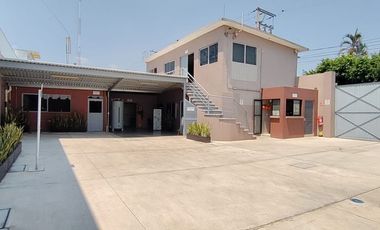 Planta en zona céntrica