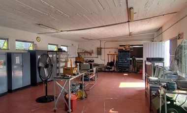 Planta en zona céntrica