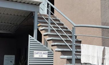 Planta en zona céntrica