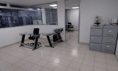 Planta en zona céntrica