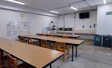 Planta en zona céntrica