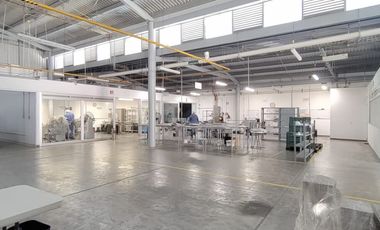 Planta en zona céntrica