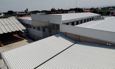 Planta en zona céntrica