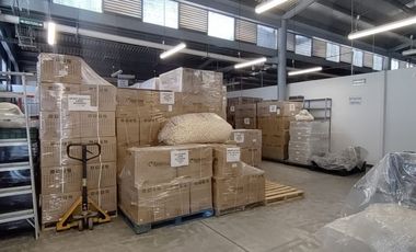 Planta en zona céntrica