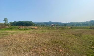4 rai of flat land in a golden location is for sale in Paklok, Phuket.