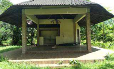 37,000sqm Agricultural Farm Lot with Residential and Warehouse Buildings For Sale in Calamba Laguna