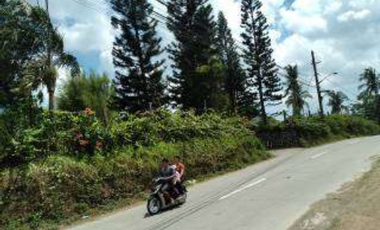 37,000sqm Agricultural Farm Lot with Residential and Warehouse Buildings For Sale in Calamba Laguna
