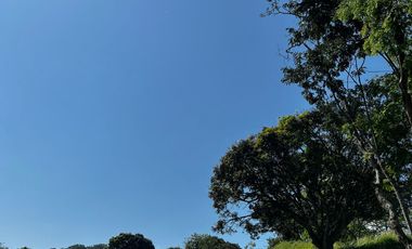 VENTA DE LOTE HACIENDA SAN JOSE L31 , SAN JERONIMO ANTIOQUIA