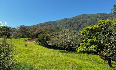 VENTA DE LOTE HACIENDA SAN JOSE L31 , SAN JERONIMO ANTIOQUIA