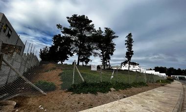 Bosques de Montemar, 3131 M2, 3 lotes colindantes