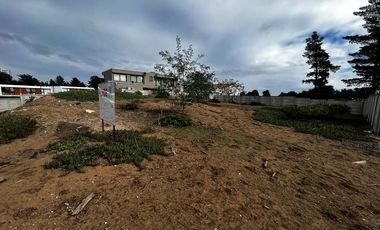 Bosques de Montemar, 3131 M2, 3 lotes colindantes