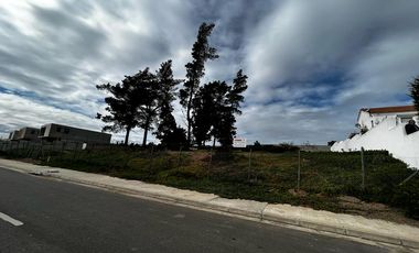 Bosques de Montemar, 3131 M2, 3 lotes colindantes