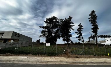 Bosques de Montemar, 3131 M2, 3 lotes colindantes