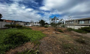 Bosques de Montemar, 3131 M2, 3 lotes colindantes