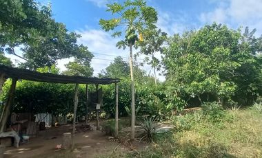 VENDO TERRENO Distrito Las Palmas - La Banda De Shilcayo / Tarapoto