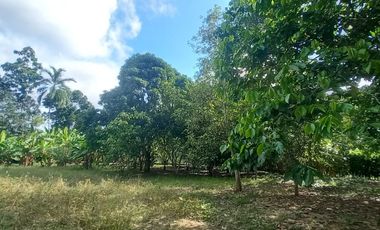 VENDO TERRENO Distrito Las Palmas - La Banda De Shilcayo / Tarapoto