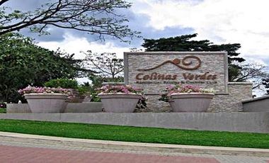 NEW OPEN LOTS IN COLINAS VERDES RESIDENTIAL AND COUNTRY CLUB