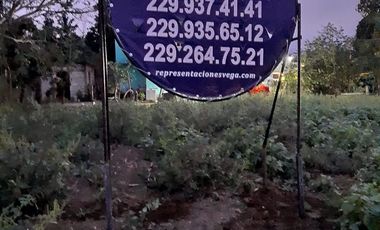 TERRENO EN EJIDO EL RINCON, JAMAPA, VER.