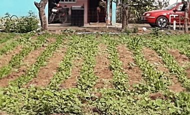 TERRENO EN EJIDO EL RINCON, JAMAPA, VER.