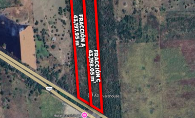 HECTÁREAS EN VENTA CARRETERA LA TINAJA SAYULA | ARLETTE FLORES