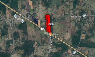 HECTÁREAS EN VENTA CARRETERA LA TINAJA SAYULA | ARLETTE FLORES