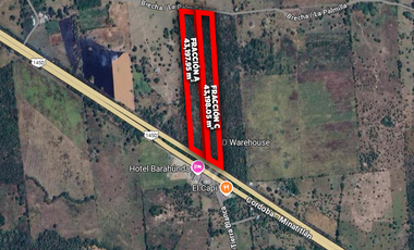 HECTÁREAS EN VENTA CARRETERA LA TINAJA SAYULA | ARLETTE FLORES