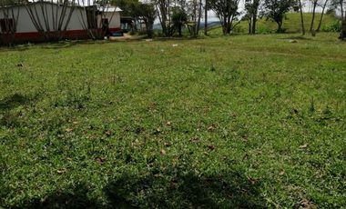 Venta Finca Ganadera y Porcícola San Roque Antioquia