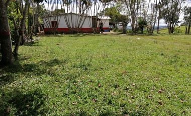 Venta Finca Ganadera y Porcícola San Roque Antioquia