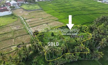 Land sale 2358m² in Lodtunduh Ubud Bali - ricefield view