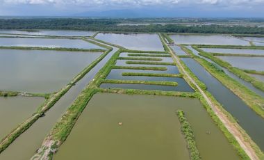 N14 - Camaronera en Venta 165 hectáreas en Guayas