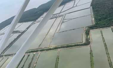 N14 - Camaronera en Venta 165 hectáreas en Guayas