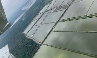 N14 - Camaronera en Venta 165 hectáreas en Guayas