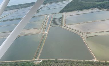 N14 - Camaronera en Venta 165 hectáreas en Guayas
