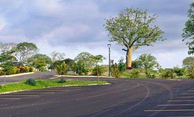 VENTA LOTES VIA CIRCUNVALACION, SECTOR LA TEJEDORA MANABITA, CERCA AEROPUERTO ELOY ALFARO DE MANTA