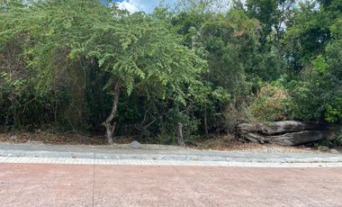 EXCEPCIONAL LOT 244 M2 RESIDENCIAL PUNTAVISTA, PUERTO MORELOS